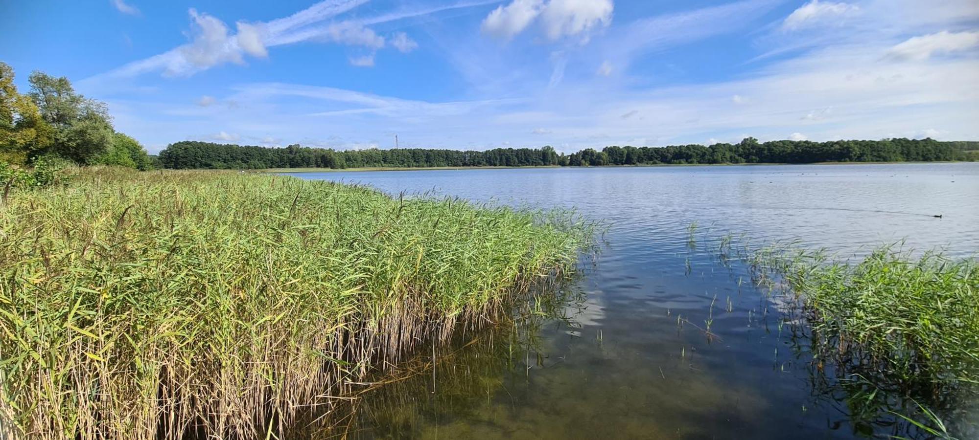 Ferienhof Am Kaebelicksee Kratzeburg Экстерьер фото